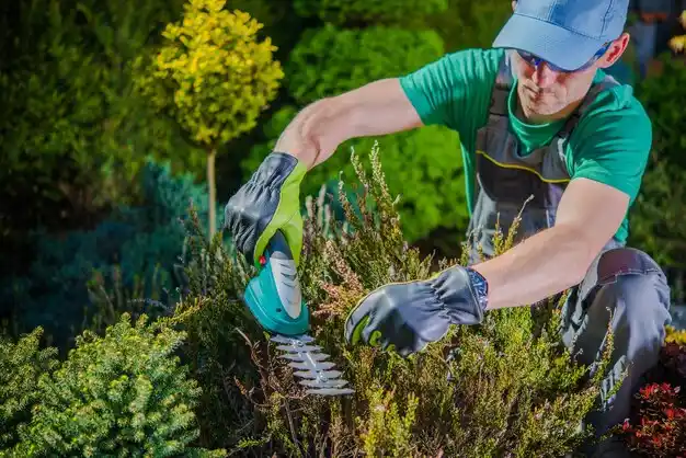 landscaping services Lapeer